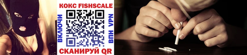 COCAIN Fish Scale  Купить закладки  Подпорожье 