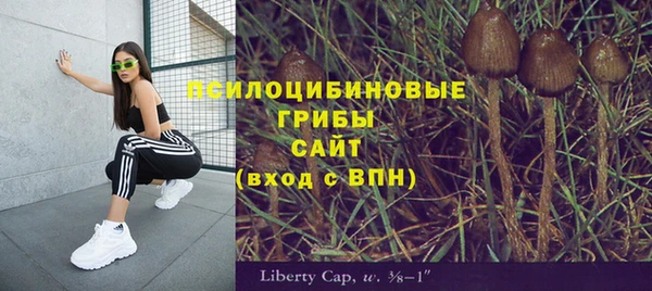 apvp Магадан