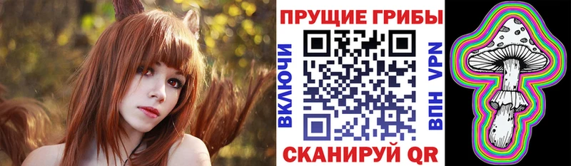 Купить Подпорожье Галлюциногенные грибы прущие грибы